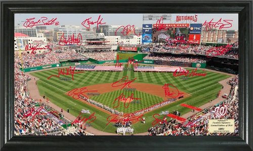 Highland Mint MLB Washington Nationals Signature Field Framed Art
