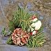 12 Evergreen/candy Christmas Picks for Flower Arrangements