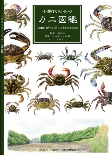 小網代の谷のカニ図鑑