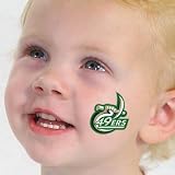 Charlotte 49ers Temporary Tattoos