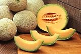 CANTALOUPE LARGE FRESH SOUTHERN GROWN PRODUCE FRUIT MELONS EACH