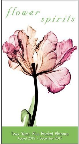 Flower Spirits 2 Year Monthly Pocket Planner 2013-2015