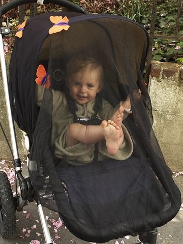 Hedvig Bourbon Charlotte Stroller Bug Net