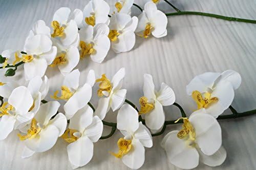 2pcs Spring Artificial Long Stem Orchid Flower Plants In White - 100cm Total Length