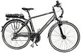 Fischer Herren E-Bike Trekking Proline, anthrazit, Rahmenhöhe: 50 cm, Reifengröße: 28 Zoll (71 cm), 18008