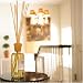 Alora Ambiance UNO Reed Diffuser - 8 oz