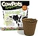 Round Cowpot, 3-inch, 12-Pack