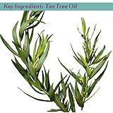 Detox, Dead Sea Bath Salts Will Give You The Replenishing Boost You've Been Craving With