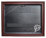 Miami Dolphins Removable Face Jersey Display, Mahogany