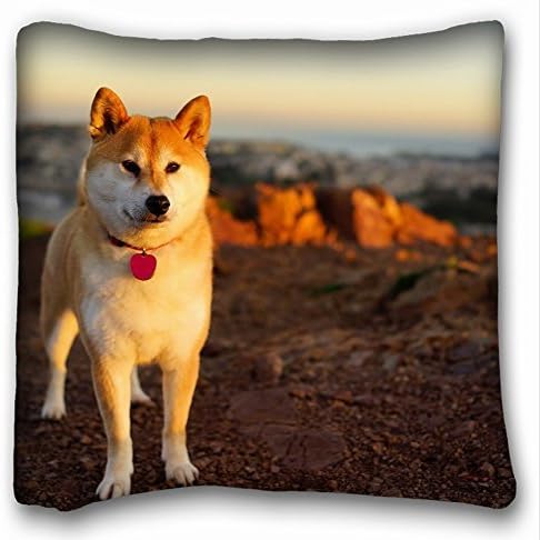 Custom Animals Dog Akita Inu - Grass Walk 18"*18" Two Side Pillow Case