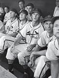 Stan Musial St. Louis Cardinals Most Outstanding Player Following Foul Ball from Bench Artists Premium Photographic Poster Print by Joe Scherschel, 24x32
