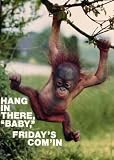 Review GetZat.co.uk  / Orangutan (Hang In There Baby, Friday's Coming) Art Poster Print - 16