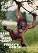 Orangutan (Hang In There Baby, Friday's Coming) Art Poster Print - 16 X 20
