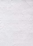 Thick Splatter Faux Paint Textured Paintable Wallpaper