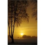 Poster 40 x 60 cm - "Landleben" von Tanja Riedel - auch in anderen Gr��en und als Leinwandbild erh�ltlichvon "POSTERLOUNGE"