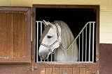 Saddlesmith of Texas Steinhoff Breastcollar - Natural Gold - Horse