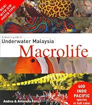 A Diver's Guide to Underwater Malaysia Macrolife