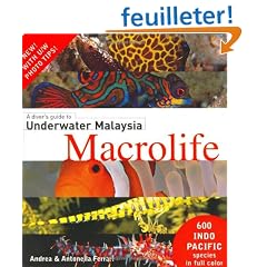 A Diver's Guide to Underwater Malaysia Macrolife