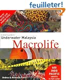 A Diver's Guide to Underwater Malaysia Macrolife