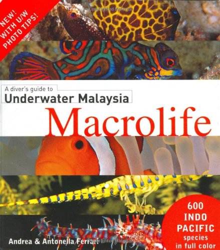 A Diver's Guide to Underwater Malaysia Macrolife
