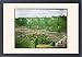 Framed Prints of Drummond Castle Gardens, near Crieff, Scotland from Mary Evans