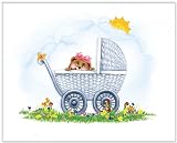 New Baby Collection - Girl Carriage - Childrens Wall Art, Kids Wall Art, Nursery Wall Art