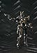 Bandai Tamashii Nations Kamen Rider Kaixa - SIC Kiwami Damashii