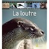 La loutre