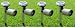 Super Bright Long Life Wireless Stainless Steel 2 LED Solar Spot Garden Light St237 - 4 PCs