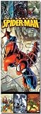 Spider-Man (Web, Door) Black Wood-Mounted Movie Poster Print - 24 X 60