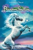 Phantom Stallion: Wild Horse Island #9: Snowfire