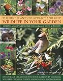 The Best Plants to Attract and Keep Wildlife in Your Garden: Making a backyard home for animals, birds & insects, encourage creatures into your garden ... friendly plants, shown in 400 photographs Knowing God: Walking through the Book of Books