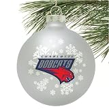 Charlotte Bobcats Silver Snowflake Glass Ornament