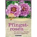 Pfingstrosen: Die sch�nsten Stauden- und Strauchp�onien