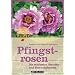 Pfingstrosen: Die sch�nsten Stauden- und Strauchp�onien