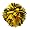 Bright Gold/Black