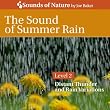 The Sound of Summer Rain