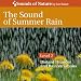 The Sound of Summer Rain The Sound of Summer Rain