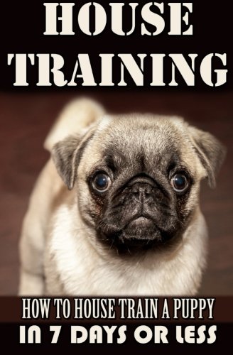 house training a puppy how to house train a puppy in 7 days or less