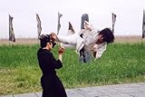 Image de Fighter in the Wind [Import allemand]