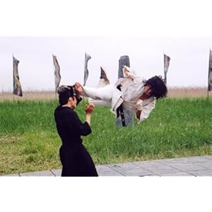Fighter in the Wind [Import allemand]