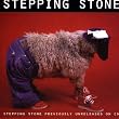 Stepping Stone (Ghost Dance Mix)