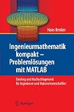 Ingenieurmathematik kompakt - Problemlösungen mit MATLAB: Einstieg und Nachschlagewerk für Ingenieure und Naturwissenschaftler