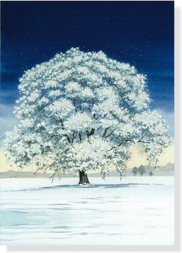 Winter Tree Small Boxed Holiday Cards (Christmas Cards, Holiday Cards, Greeting Cards)