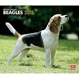 (12x14) Beagles, For The Love Of - 2013 Deluxe Wall Calendar