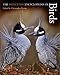 The Princeton Encyclopedia of Birds