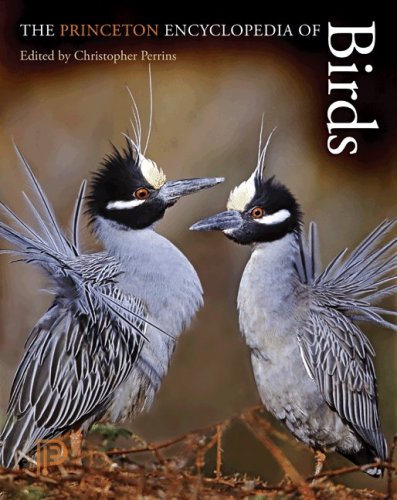 the princeton encyclopedia of birds