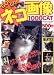 GO!GO!ネコ画像1000CAT―お気楽ネコ楽 (フロムムック 41)