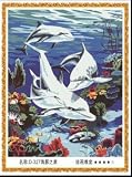 Paint By Number Kit 20''x16''-Dolphin