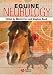 Equine Neurology